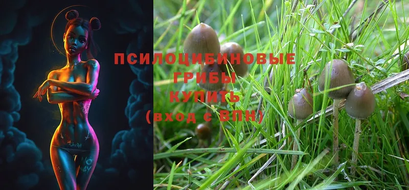 Галлюциногенные грибы MAGIC MUSHROOMS  Великие Луки 